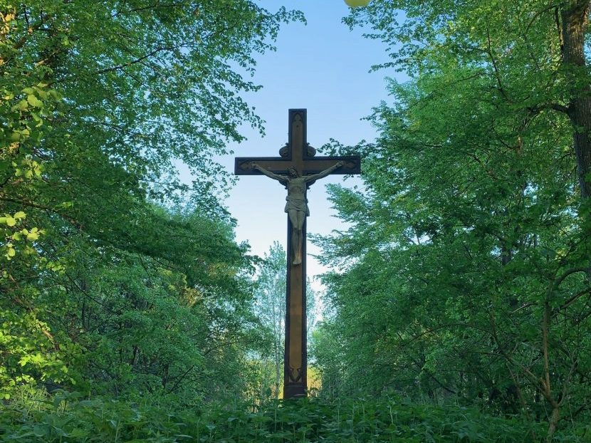 Beerdigung im Waldfriedhof Schwaben